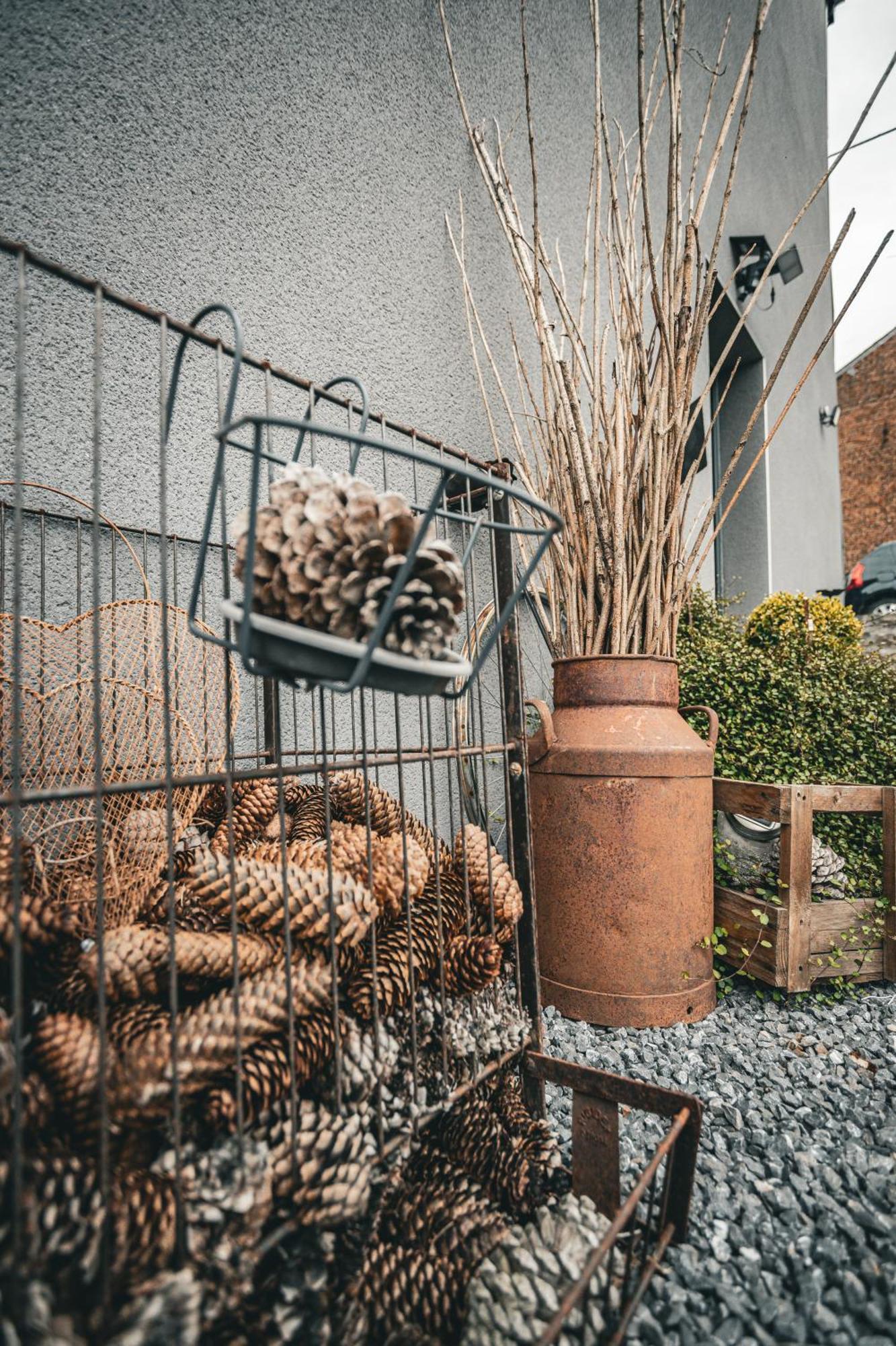 Vireux-Wallerand O Bois Dormantヴィラ エクステリア 写真